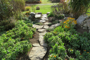 The Gardens Out Back