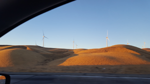 Wind Turbines and Golden Hills