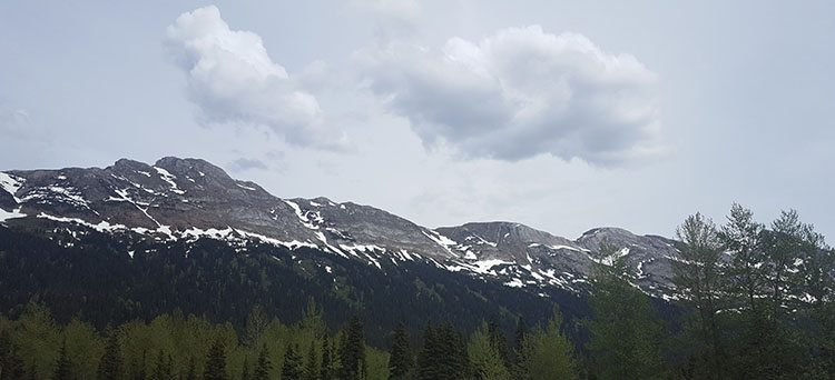 Canadian Rockies             