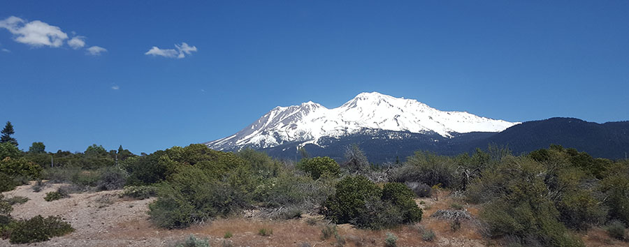 Mt. Shasta                